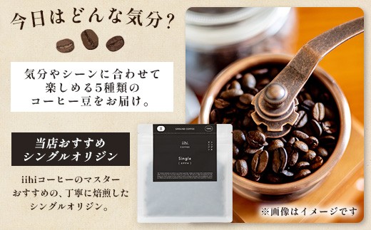 【ふるさとロースターが焙煎したてをお届け！】iihiコーヒー コーヒー豆 100g×10P セット 常温｜コーヒー 珈琲 コーヒー豆 ブレンドコーヒー 自家焙煎 詰め合わせ 飲み比べ 中深煎り 焙煎 