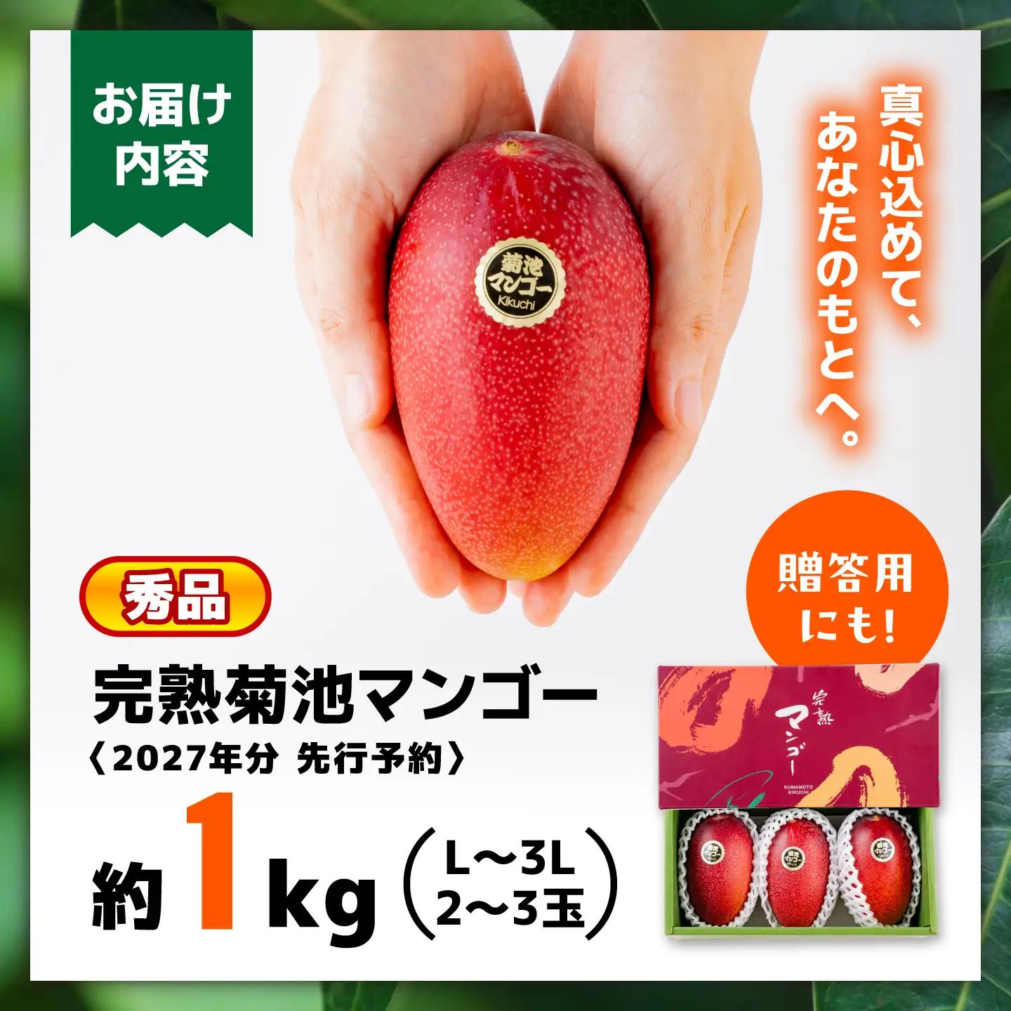 【2027年6月上旬から順次発送】より発送 菊池マンゴー約1kg マンゴー AYDF003