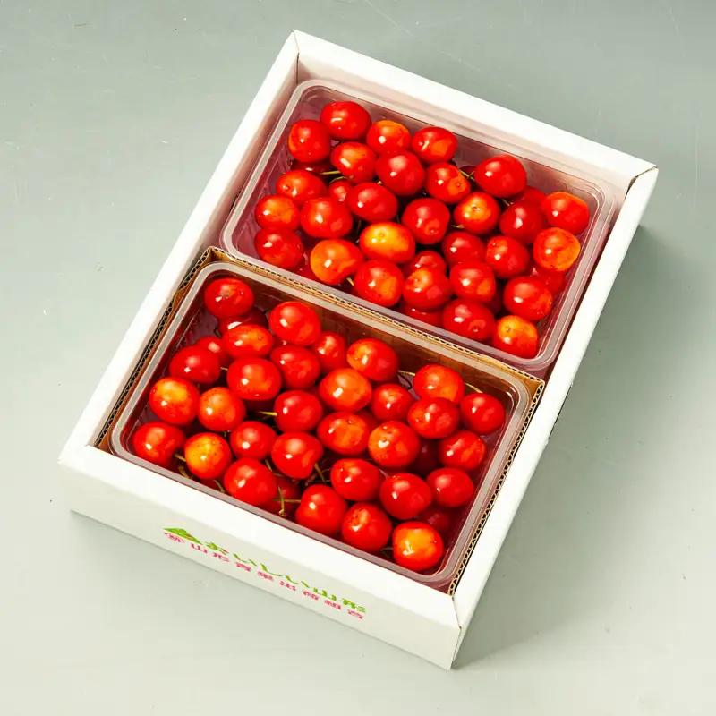 さくらんぼ 佐藤錦 Ｌ1kg(500g×2) バラパック 【令和9年産先行予約】FS26-654