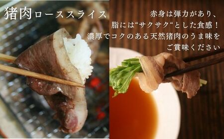 天然 猪肉 極上 ロース スライス＆ 鹿 挽肉 セット 計500g焼肉 赤身 肉 お肉 鹿肉 猪肉 BBQ 高タンパク  [WBH040]