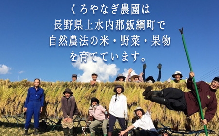 【 収穫体験 】 収穫体験　1時間（1名様からご家族までOK）お土産付き《 季節のお野菜の収穫 山菜採り 田植え 稲刈り 干し柿作り しいたけの駒打ち クワガタ虫捕り 》 くろやなぎ農園 長野県 飯綱