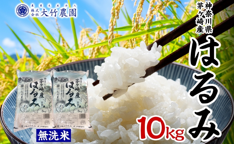 茅ヶ崎市産 はるみ 無洗米 10kg 5kg×2 特A 甘み 粘り つぶ感 しっかり ふっくら つやつや 冷めても美味しい 白米 精米 神奈川県産 お米 米 コメ こめ 大竹農園 神奈川県 茅ヶ崎市