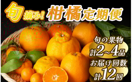 【定期便】みかんメインで贈るフルーツ12回の定期便　【 みかん 果物 春フルーツ 夏フルーツ 秋フルーツ 冬フルーツ フルーツ 旬 柑橘 甘い 新鮮 定期便 フルーツ 果物旬 柑橘 甘い 新鮮 定期便 】　<BC-62>
