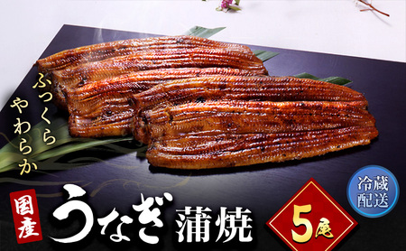 うなぎ 国産 長蒲焼 5尾 小分け 詰め合わせ 国産 うなぎ蒲焼 国産うなぎ 惣菜 おかず ギフト 贈答 贈答用 贈答品 土用の丑の日 丑の日 レンジ調理 レンチン 蒲焼き うな重 鰻 真空パック 冷蔵 冷蔵配送 静岡 静岡県 浜松市