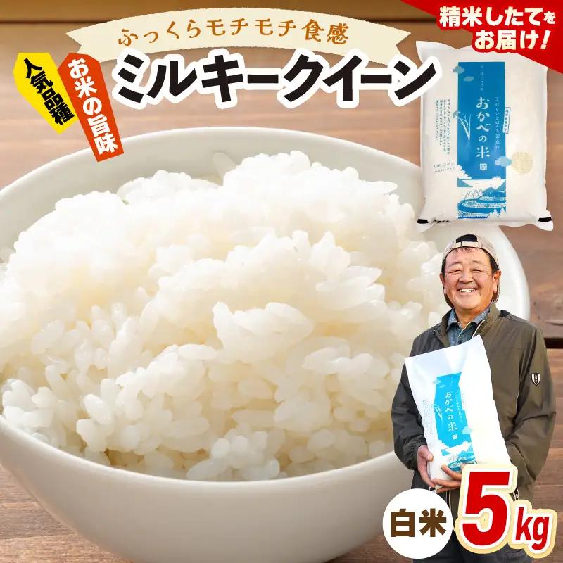 令和8年産 ふっくら モチモチ食感 大人気 濃厚 ミルキークィーン（白米）5kg【新米 米】 [m29-a031]
