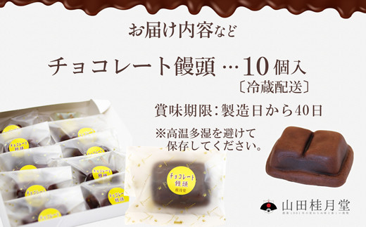 ＜山田桂月堂＞チョコレート饅頭　10個入り　40P5614