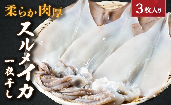 柔らか肉厚のスルメイカ一夜干し 3枚 魚貝類 イカ いか スルメイカ お酒 つまみ 特大 新鮮 保存 冷凍 国産 送料無料 酒の肴 酒のつまみ