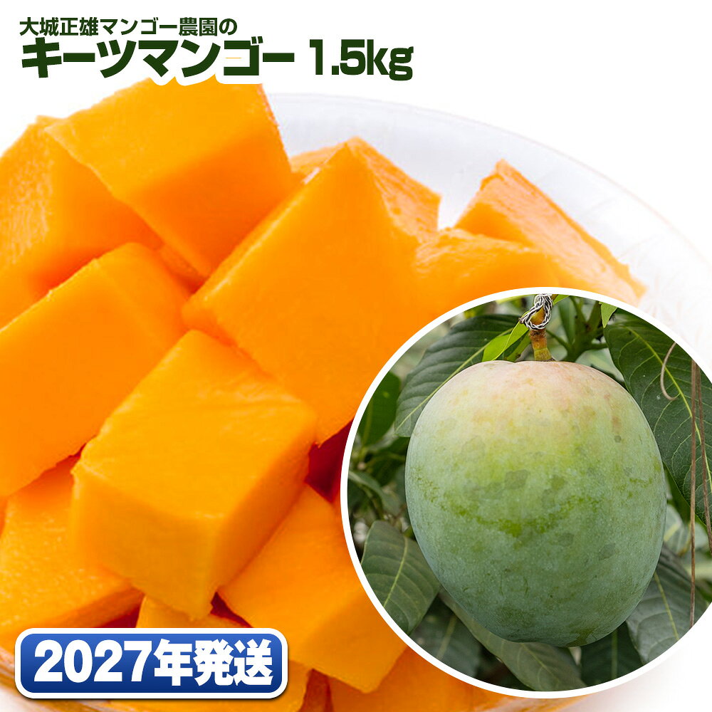 【ふるさと納税】【2027年発送】大城正雄マンゴー農園のキーツマンゴー1.5kg
