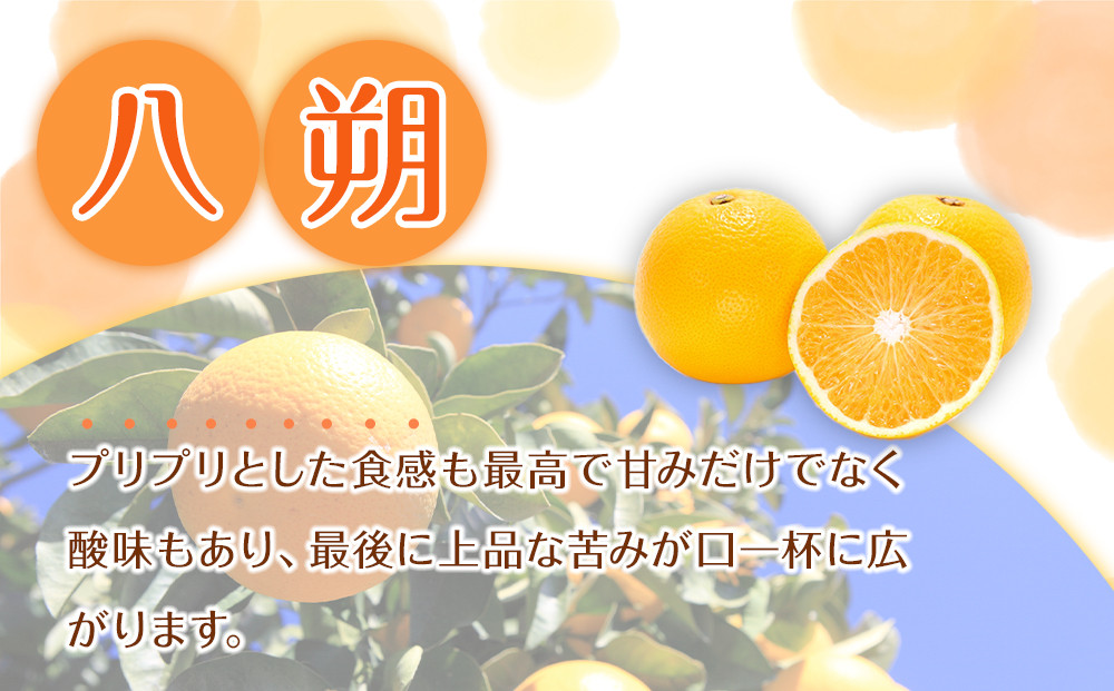 贈答用 森本農園の手選別 八朔 約2kg 和歌山県産 サイズ混合 ［北海道・沖縄・離島配送不可］［2026年1月中旬から2月中旬頃順次発送予定］［RN122］