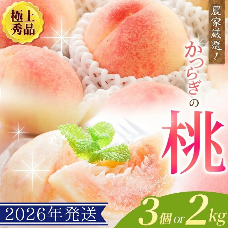 【ふるさと納税】 【先行予約】【厳選】あふれる果汁で口いっぱい！ 和歌山県産 桃 【3玉 or 約2kg（6個〜9個）】【2026年7月末頃～2026年8月末頃に順次発送予定】（お届け日指定不可） / 和歌山 桃 モモ フルーツ もも 白桃 果物 くだもの