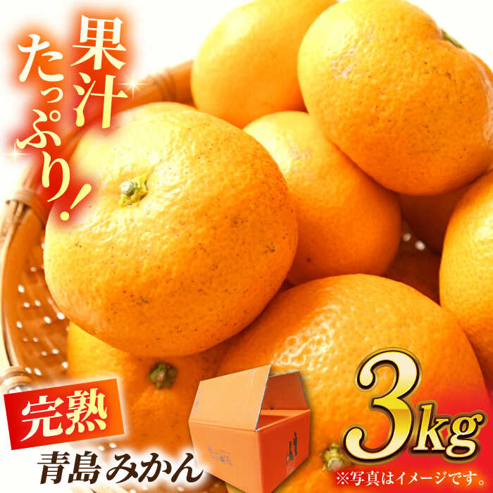 【ふるさと納税】【先行予約】完熟 青島 みかん 約3kg【合同会社 社方園】[ZBZ011] ミカン 蜜柑 温州 うんしゅう 産地 柑橘 かんきつ 果物 くだもの フルーツ 人気 ランキング 旬 季節 産地直送 国産 熊本県 山鹿 期間限定 レビュー 口コミ 特産品 送料無料