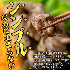 y564 鹿児島県産！鶏の炭火焼き(計340g・170g×2袋) 国産 九州産 鹿児島産 鶏肉 とり肉 お肉 若鳥 若鶏 もも肉 むね肉 焼き鳥 やきとり 炭火焼 鶏炭火焼き 鶏炭火焼 真空パック 真