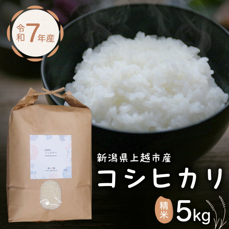 【ふるさと納税】米 新潟県上越市産 横山農園 コシヒカリ 令和7年産 5kg（5kg×1袋）こしひかり お米 精米 米 ご飯 送料無料