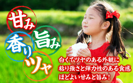【全6回定期便】 【令和7年産米】 米 こしひかり 10kg 白米 お米 ご飯 コシヒカリ 三次市/アグリ君田[APDC008]