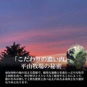  数量限定 牛肉 焼肉用 カルビ 700g (4人前) 南知多マザービーフ 国産牛 [配送不可地域：離島]
