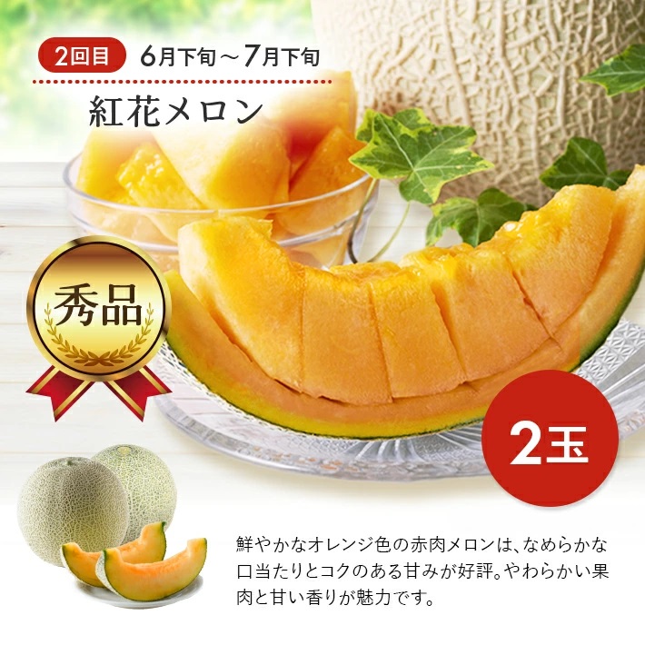 SE0330　【3回定期便】おいしい酒田 マルっとお届け便2025(2) 4月下旬～ (いちご、紅花メロン、刈屋梨)