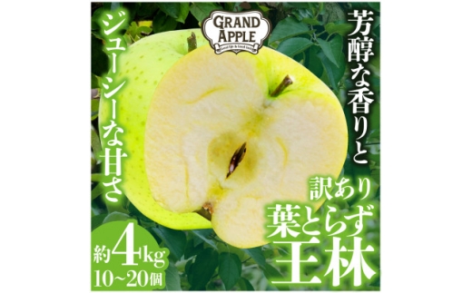 「王林」訳あり約4kg【1442055】