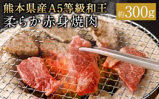 熊本県産 A5等級和王 柔らか赤身焼肉 約300g st-p