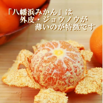 太陽の光・石垣の反射光・海面の反射光を浴びて育った「八幡浜みかん」約5キロ【C39−79】【配送不可地域：離島】【1636310】