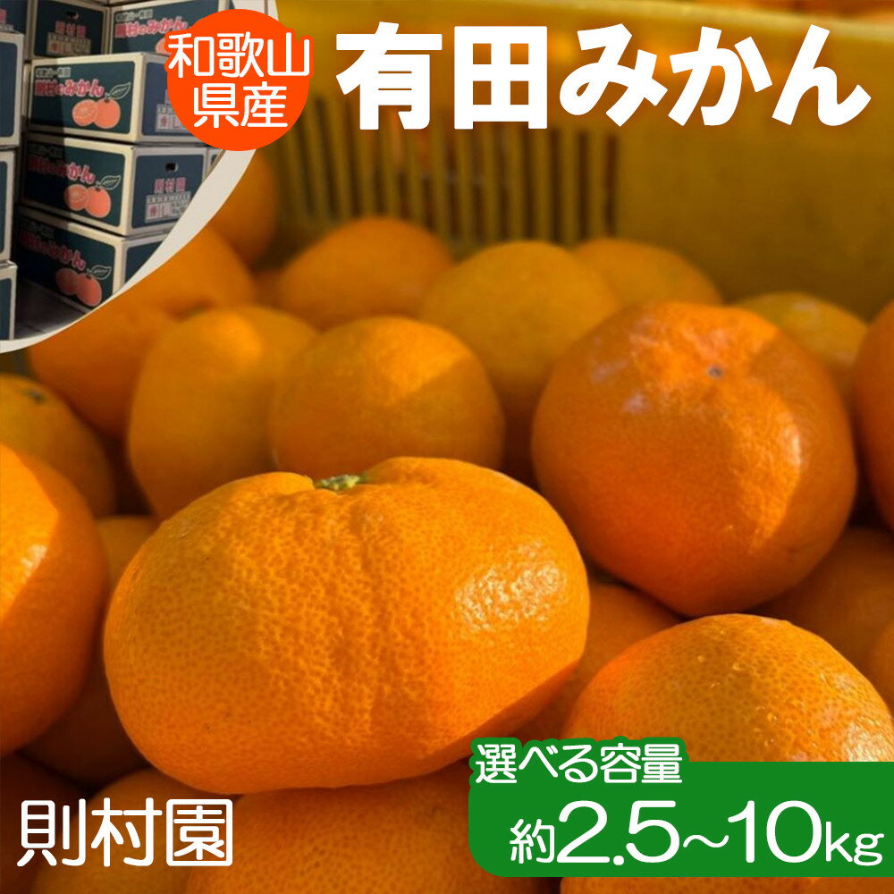 【ふるさと納税】【選べる容量】則村園産 有田みかん 約2.5kg～約10kg | 温州みかん みかん 蜜柑 甘い 有田川町 和歌山 フルーツ 果物 くだもの 食品 人気 おすすめ 送料無料 産地直送