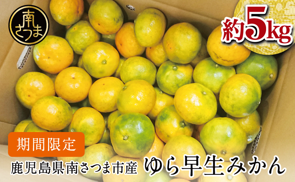 
            【2025年 先行予約 】 鹿児島県産 ゆら早生みかん 約5kg ≪ 期間限定 ≫ 柑橘 くだもの フルーツ 果実 みかん ミカン 蜜柑 温州みかん 極早生 わせみかん 甘味 ジューシー 鹿児島県南さつま市産 国産 国内産 JA南さつま
          