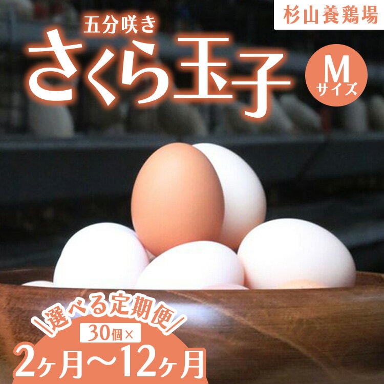 【ふるさと納税】【定期便】【選べる配送回数】純国産鶏さくらちゃんが産んだ桜色のさくら玉子 五分咲き（Mサイズ）30個 ｜ 卵 鶏卵 たまご タマゴ 生卵 たまごかけご飯 濃厚 甘み 国産