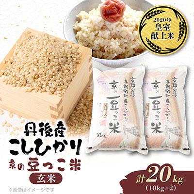 ふるさと納税 与謝野町 【先行受付】令和8年新米　数量限定　京都与謝野町産コシヒカリ「京の豆っこ米」玄米10kg×2袋