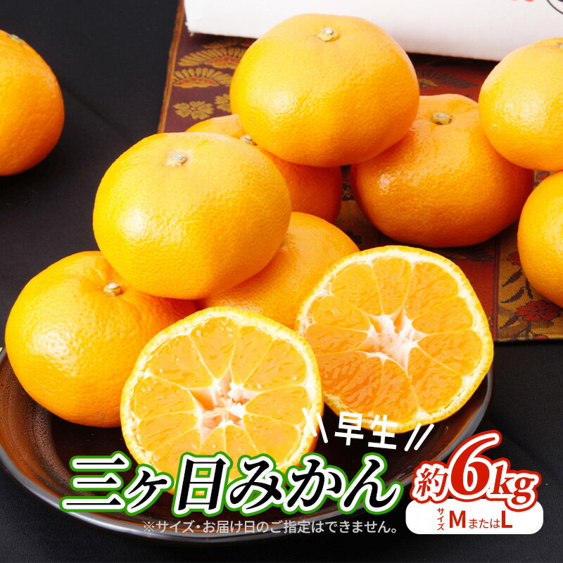 【ふるさと納税】【2025年11月中旬より順次発送】三ヶ日みかん早生 約6kg（サイズ：MまたはL） 　お届け：2025年11月中旬～2025年12月中旬