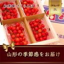 【ふるさと納税】 さくらんぼ 紅秀峰 200g×4パック 2Lサイズ【2025年6月上旬から発送】 FSY-1173