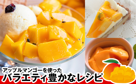 【2026年発送】南国の果物　沖縄県産アップルマンゴー　1kg