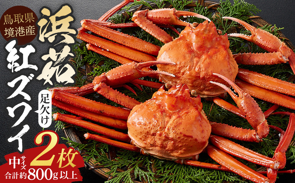 ＜金～日着※指定日不可＞＜7月～9月上旬発送不可＞浜茹ベニズワイガニ足欠(2枚/計約800g以上)