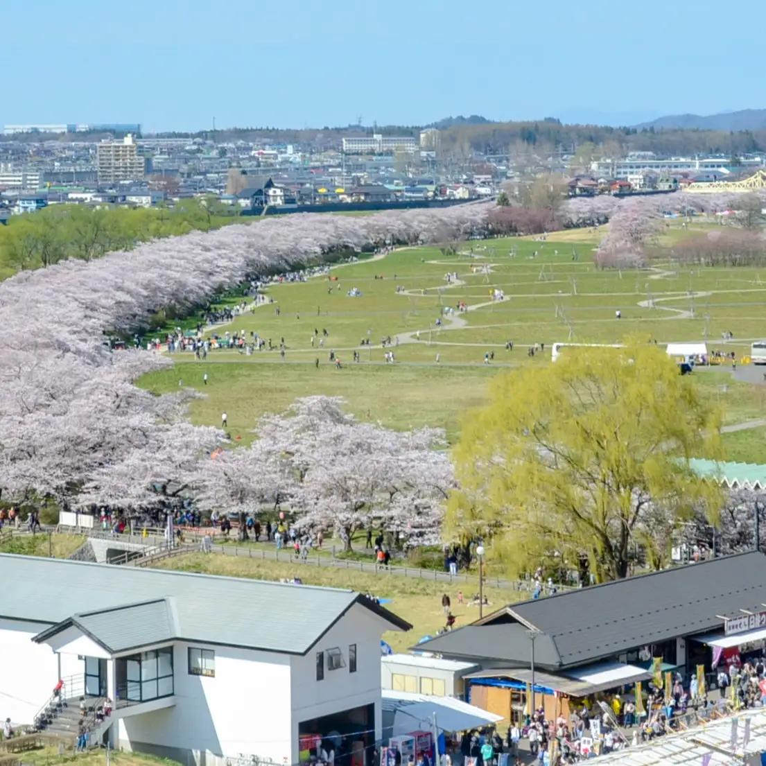 『さくら見頃』さくら染めさき織3種セット ( コースター レジンブローチ タオルハンカチ ) 岩手県 北上市 桜の名所 展勝地 和の衣さとう ito(いと) アップサイクル 桜染め さき織 F0153
