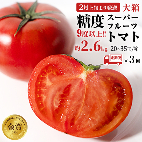 《 2026年収穫分 先行予約 》《 3回 定期便 》 糖度9度以上 スーパーフルーツトマト 大箱 約2.6kg × 1箱 × 3回 フルーツトマト ブランドトマト 野菜 ギフト 贈答 [BC048sa]