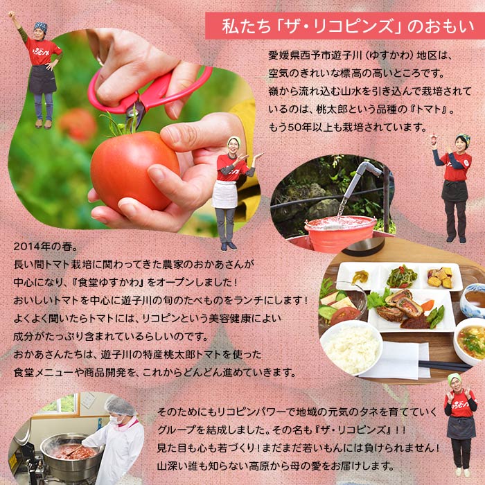 ＜人気No.1！トマト6個がギュギュッと詰まった こどもケチャップ 4個セット 添加物不使用＞ とまと 野菜 無添加 完熟 調味料 子供 パスタソース 詰め合わせ ギフト 国産 遊子川ザ・リコピンズ 