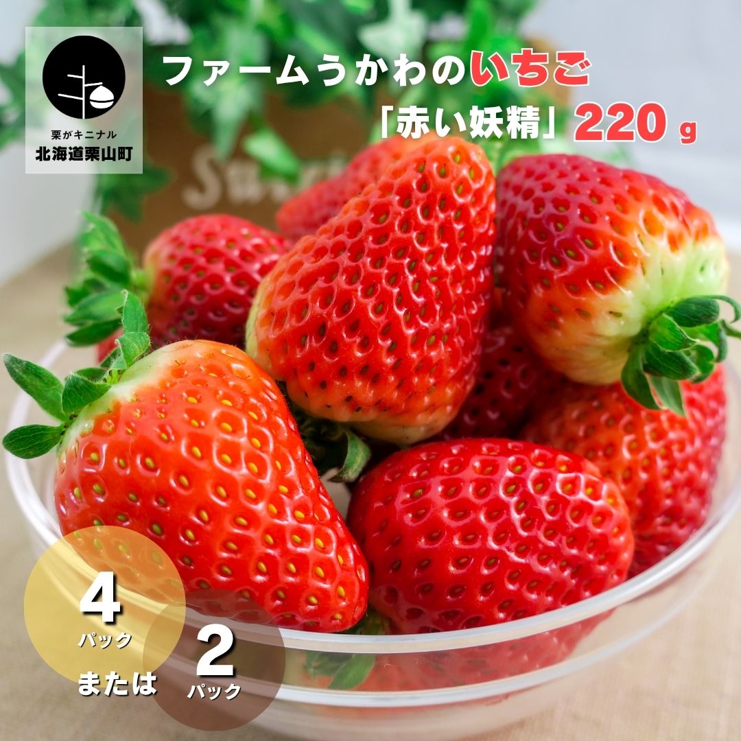【ふるさと納税】もぎたて！北海道産ファームうかわのいちご「赤い妖精」《2パック・4パック》