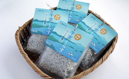 しらす しらす干し 食べきり 小分けパック （35g×3袋入）×4個 420g
