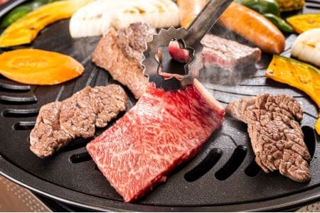 綾牛 焼肉 セット 450g バーベキュー 赤身 モモ バラ ロース A4A5等級 黒毛和牛 希少 牛肉 宮崎県 送料無料_A0013-017