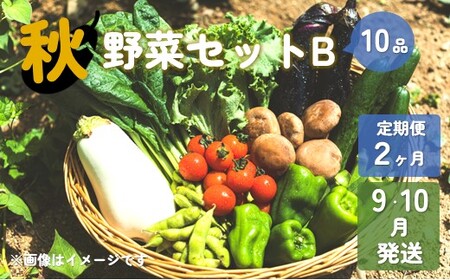 【予約受付/2025年9・10月発送】秋 野菜セット B【 2ヶ月 定期便 】 10品 以上 季節 旬 秋野菜 岩手県 北上市 E0220-01 きのこ 葉物 果菜 根菜 冷蔵 野菜室 ダイエット 食 栄養食 加工品 岩手県産 北上産 季節限定 稀少 数量限定 瓜 じゃが芋 里芋 長芋 大根 キャベツ ピーマン カリフラワー ブロッコリー 白菜 長ネギ ほうれん草 小松菜 レタス リーフレタス ししとう かぶ 玉ねぎ P＆Cリンク