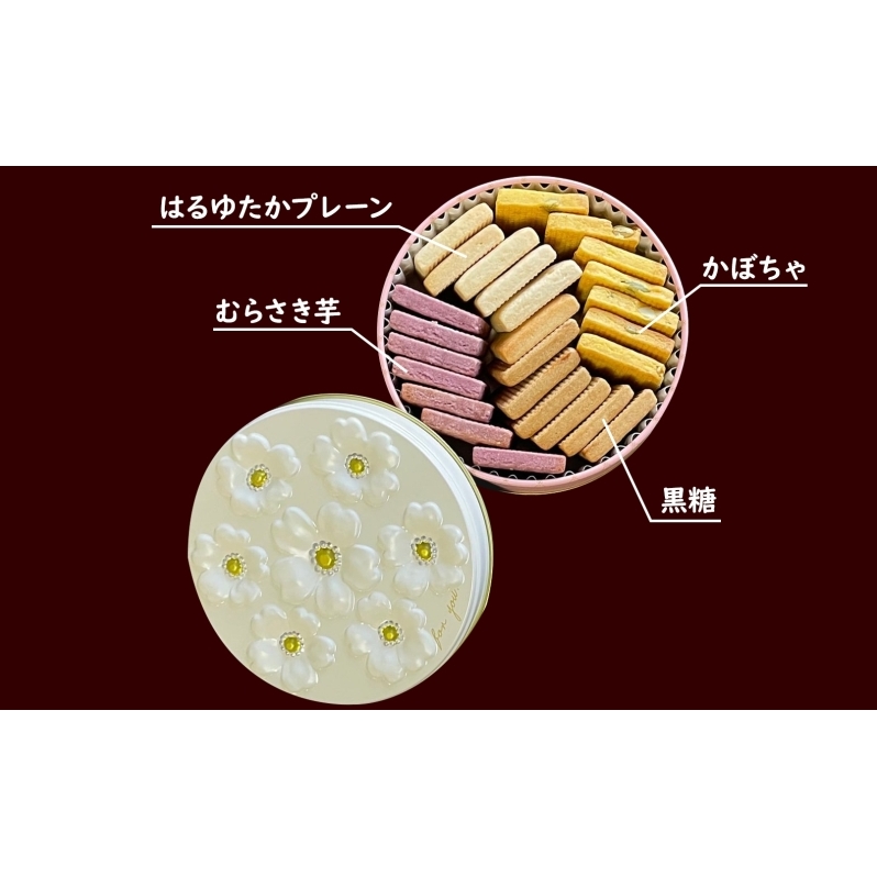 はるゆたかクッキー缶(ブーケ缶&サーカス缶)｜北海道 滝川市 クッキー 缶 お菓子 おかし 菓子 かし 焼き菓子 洋菓子_イメージ3