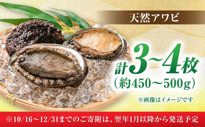 【2025年1月から順次発送】瀬戸内海の贈り物！活きたままの高級アワビ！「瀬戸内海産天然活きアワビ3から4枚セット」　愛媛県大洲市/天然活魚　濱　屋 [AGBP007]あわび bbq 鮑 鉄板焼き 海