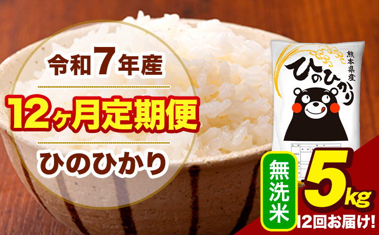 令和7年産 【12ヶ月定期便】 無洗米 米 ひのひかり 5kg《お申込み翌月から出荷》熊本県 大津町 国産 熊本県産 無洗米 送料無料 ヒノヒカリ こめ お米---hn7tei_132000_5kg_mo12_oz_m---