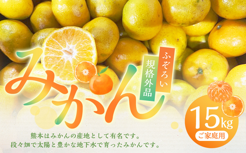 
            【規格外品】 熊本市産 みかん ご家庭用 15kg 不揃い  蜜柑 ミカン フルーツ 果物 くだもの 柑橘 熊本産 九州産【2025年10月下旬～2026年2月下旬迄発送予定】
          