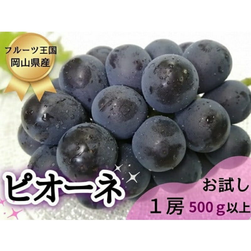 【ふるさと納税】【お試し】フルーツ王国岡山の人気ぶどう　ピオーネ1房500g以上!　【配送不可地域：離島】/ ブドウ 葡萄 ぴおーね 果汁たっぷり 朝採り