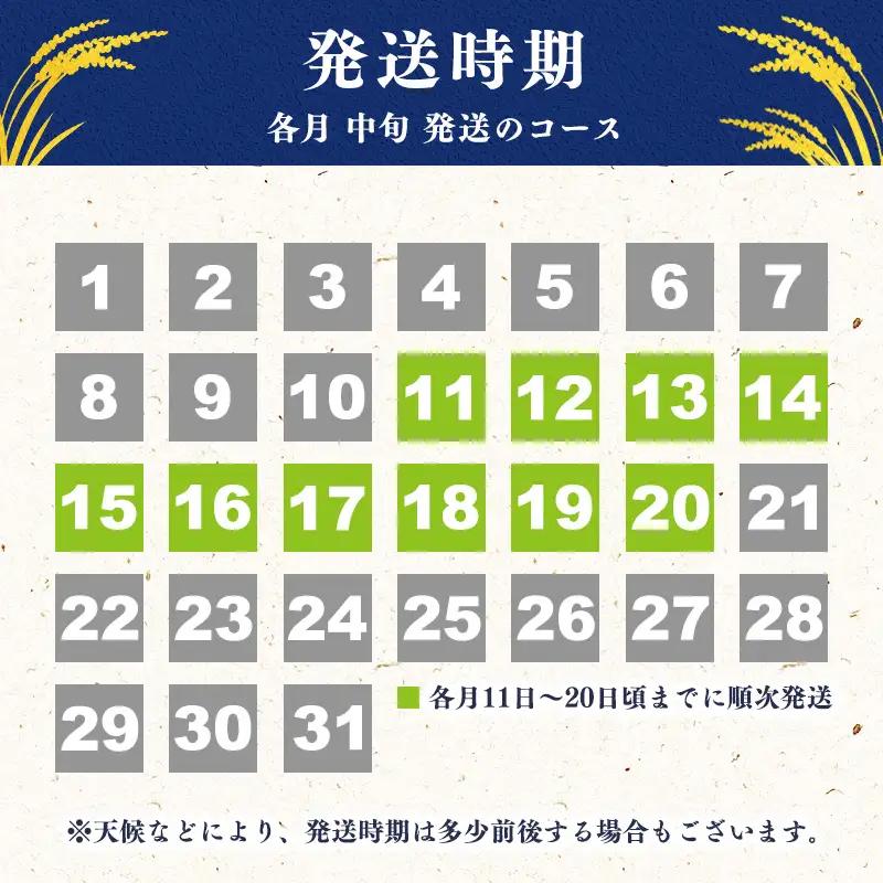 【〈隔月〉2026年12月中旬開始】《先行予約》【令和8年産 3回定期便】はえぬき 合計30kg（10kg×3回）清流寒河江川育ち 山形産はえぬき 山形県産 2026年産 精米 30キロ 　069-C