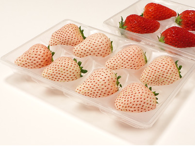 いちご 紅ほっぺ 白いちご 計 400g 計 2 パック 高級 紅白 イチゴ 苺 セット