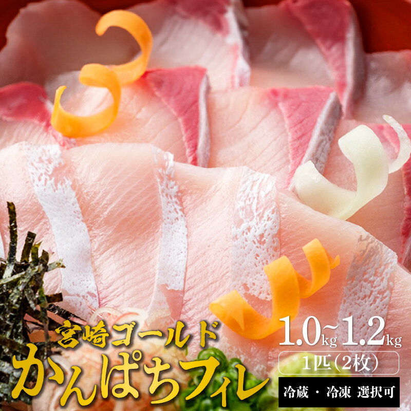 【ふるさと納税】宮崎産 新海屋 鰤屋金太郎 みやざきゴールドカンパチ フィレ 1.0kg ～ 1.2kg 1匹 2枚 冷蔵 ・ 冷凍 選択可 お取り寄せ グルメ 宮崎県 延岡市 送料無料