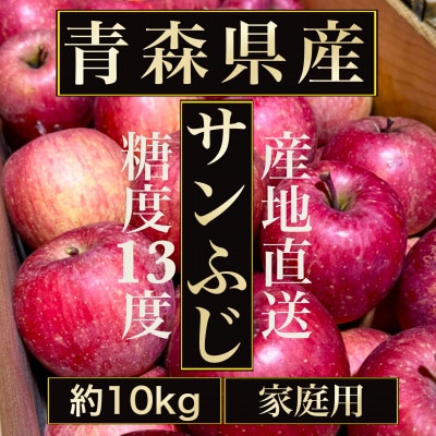 【青森の誇り】青森直送サンふじりんご約10kg(家庭用/訳あり)【配送不可地域：離島・沖縄県】【1729050】