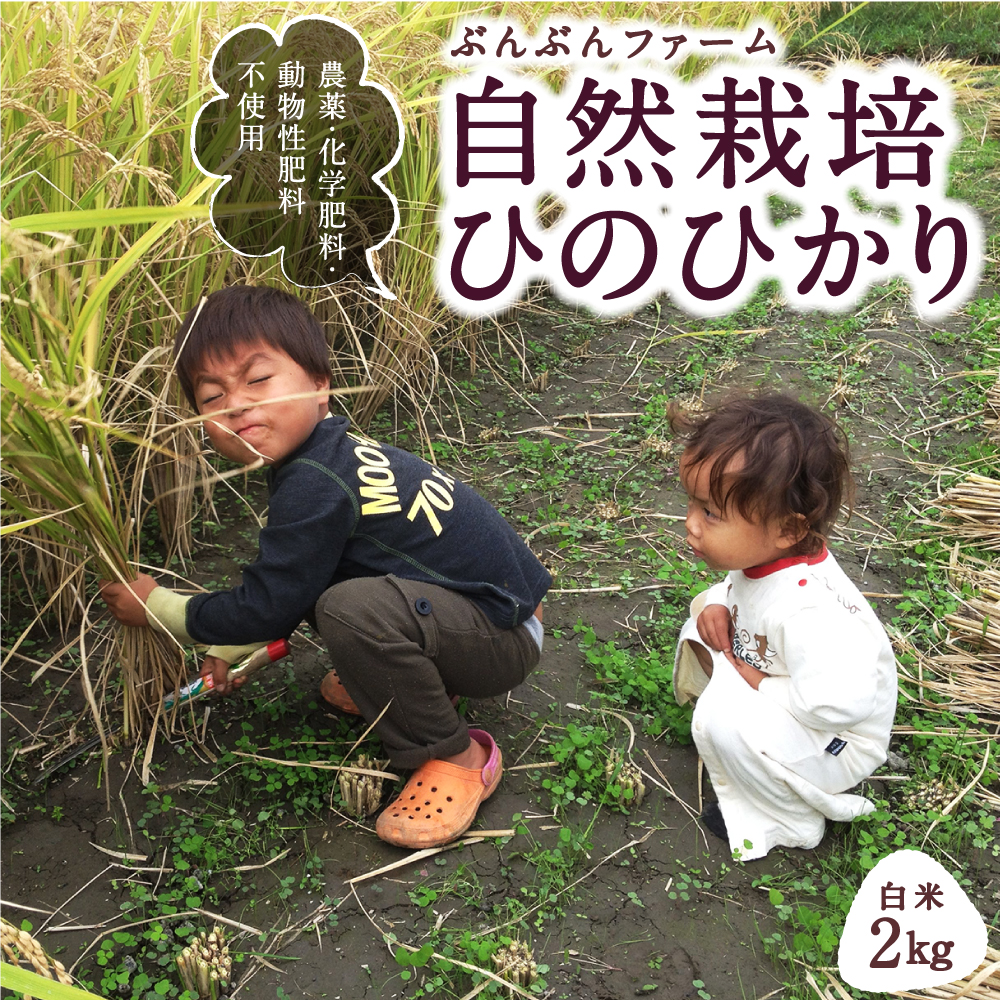 ぶんぶんファーム 自然栽培 ひのひかり 白米 2kg 2024年10月下旬から2025年7月下旬 出荷予定