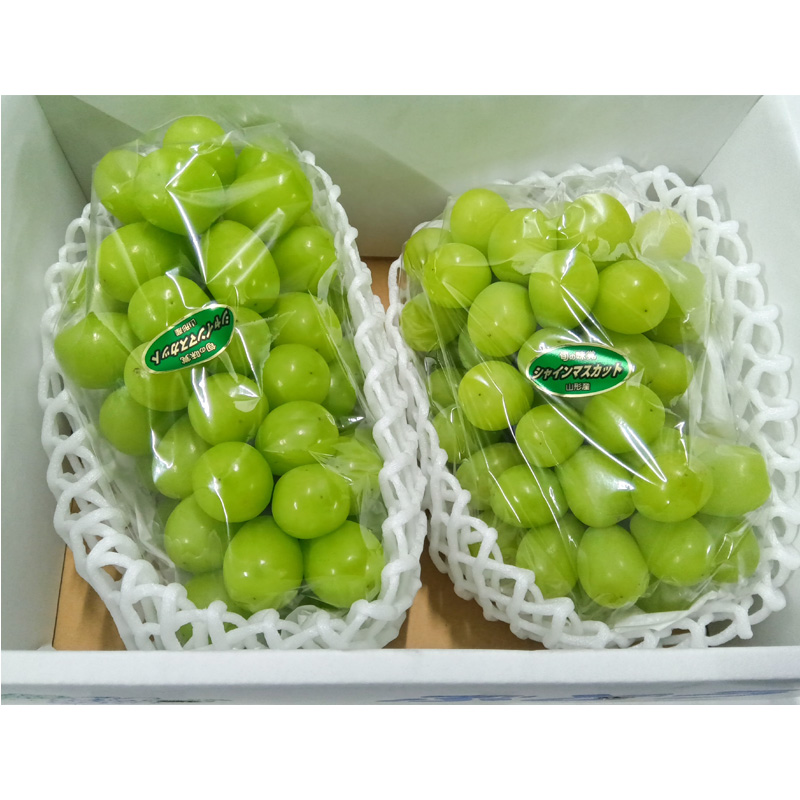 山形産 シャインマスカット 約1.5kg(2房) 【令和7年産先行予