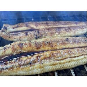 【国産うなぎ】大サイズ140g -170g　三河一色産　4尾セット　炭火蒲焼き(タレ付き)【配送不可地域：離島】【1659377】